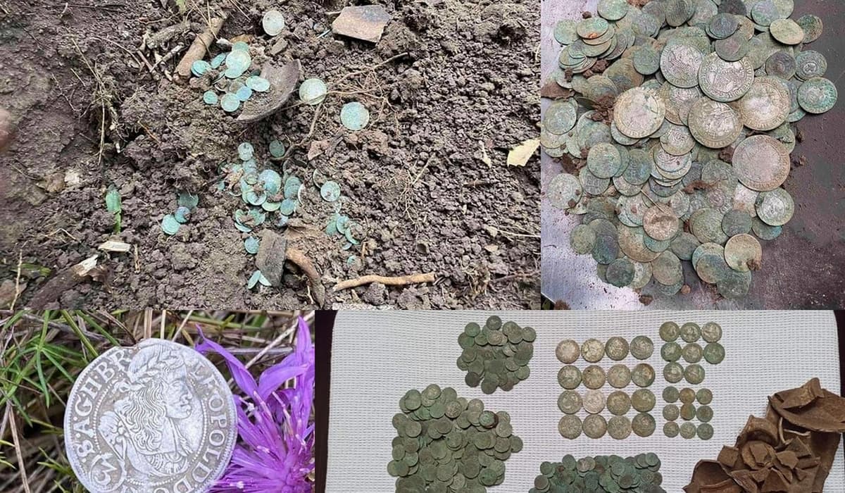 Подробнее о статье Металлоискатель Minelab Equinox 800 нашел клад