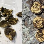 Металлоискатель Minelab Manticore сделал «золотую находку столетия»