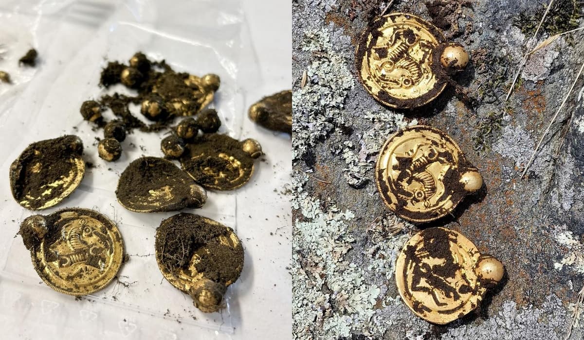 Подробнее о статье Металлоискатель Minelab Manticore сделал «золотую находку столетия»