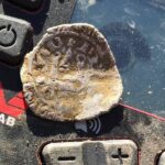 Знахідки з Minelab Vanquish. Фото галерея користувачів